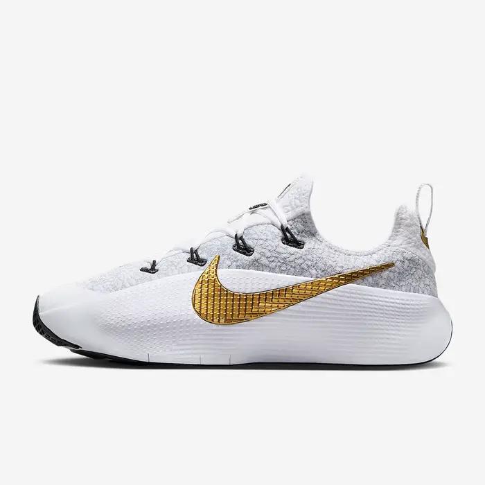 Chaussures Nike Lebron TR 1 Polyester Coupe Basse Hommes Pour Course Et Activités Physiques Occasions Spéciales